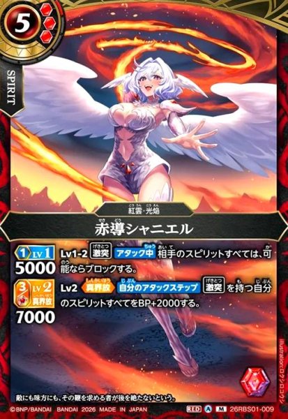 画像1: 赤導シャニエル(M)(26RBS01-009) (1)