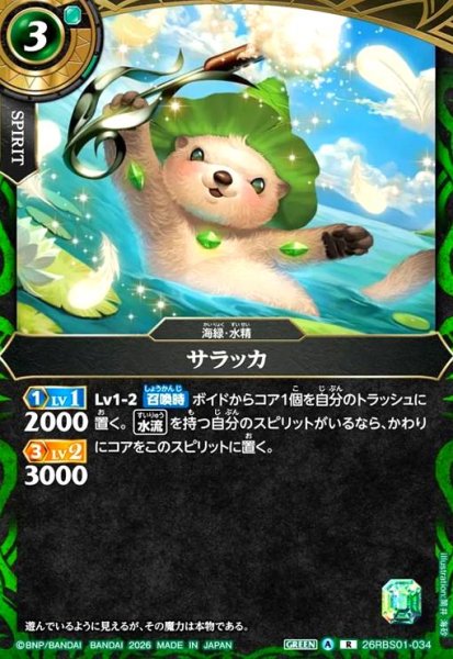画像1: サラッカ(R)(26RBS01-034) (1)