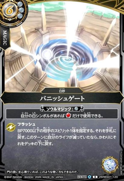 画像1: バニッシュゲート(R)(26RBS01-120) (1)