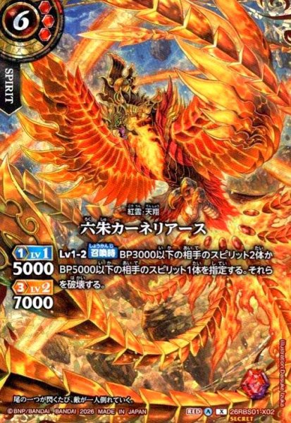 画像1: 六朱カーネリアース(X/SECRET)(26RBS01-X02) (1)