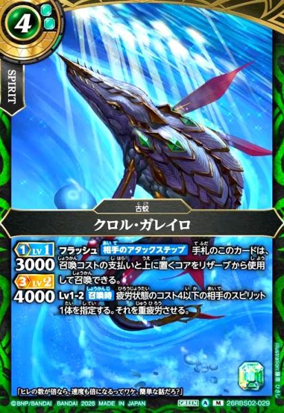 画像1: クロル・ガレイロ(M)(26RBS02-029) (1)