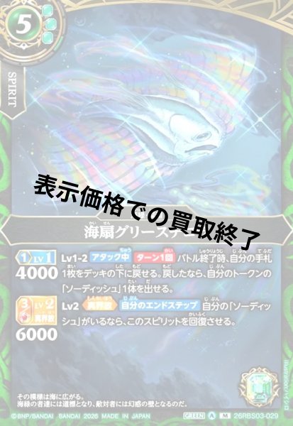 画像1: 海扇グリースチコラ(M)(26RBS03-029) (1)