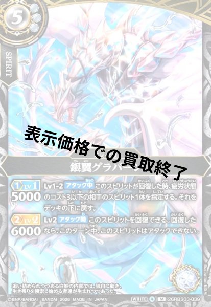 画像1: 銀翼グラバーン(M)(26RBS03-039) (1)