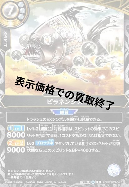 画像1: ピラネンシス(R)(26RBS03-043) (1)