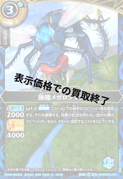 画像1: 強翅メガロプシス(M)(26RBS03-064) (1)