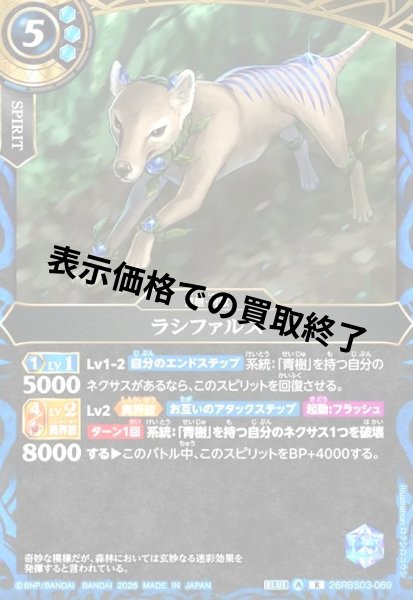 画像1: ラシファルス(R)(26RBS03-069) (1)