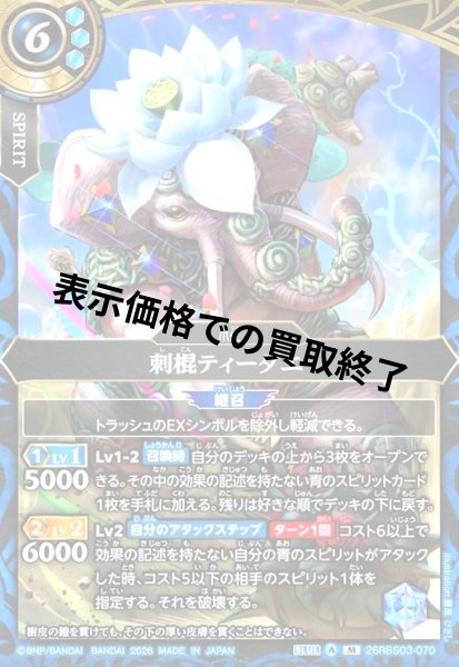 画像1: 刺棍ティーダエ(M)(26RBS03-070) (1)