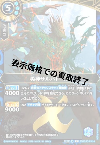 画像1: 尖神サルバドール(X)(26RBS03-X14) (1)