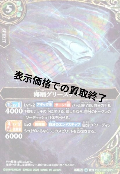 画像1: 海扇グリースチコラ(M/SECRET)(26RBS03-029) (1)
