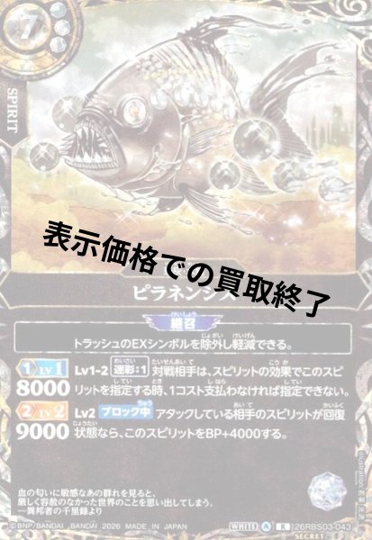 画像1: ピラネンシス(R/SECRET)(26RBS03-043) (1)