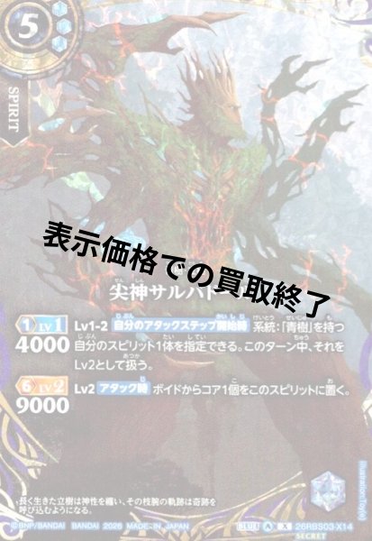 画像1: 尖神サルバドール(X/SECRET)(26RBS03-X14) (1)