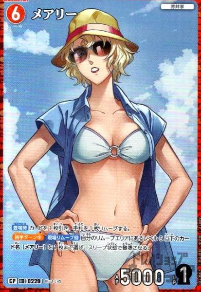 画像1: [0229]メアリー(CP)(B02066P) (1)