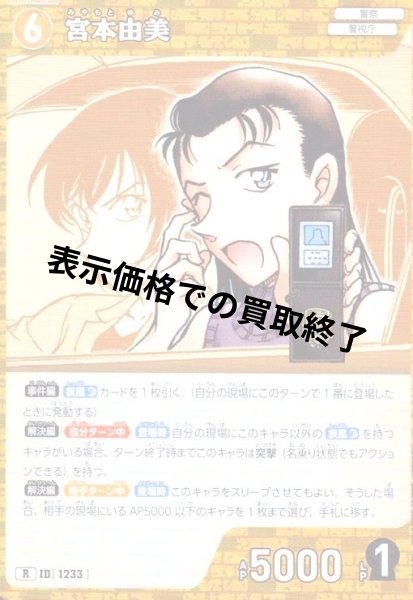 画像1: [ID1233]宮本由美(R)(B11069) (1)