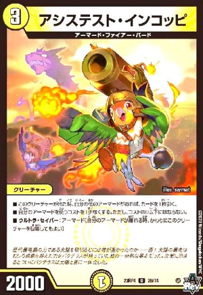 画像1: アシステスト・インコッピ (1)