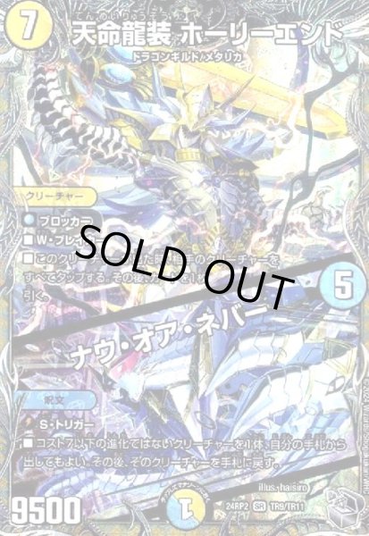 画像1: 天命龍装 ホーリーエンド/ナウ・オア・ネバー(SR)(TR9/TR11) (1)