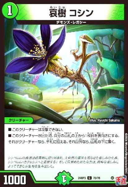 画像1: 哀樹 コシン (1)