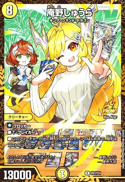 画像1: 庵野しゅうら(PR)(P87/Y24) (1)