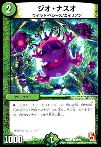 画像1: ジオナスオ (1)