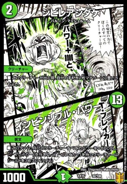 画像1: シビレアシダケ/インビンシブルパワー (1)