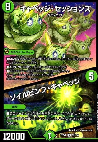 画像1: キャベッジ・セッションズ/ソイルピンプ・キャベッジ (1)