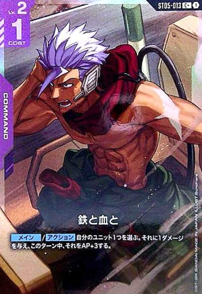 画像1: 鉄と血と(C+)(ST05-013) (1)