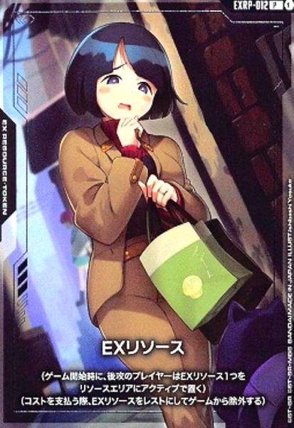 画像1: EXリソース(シイコ・スガイ)(P)(EXRP-012) (1)