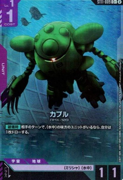 画像1: カプル(C+)(ST11-009) (1)