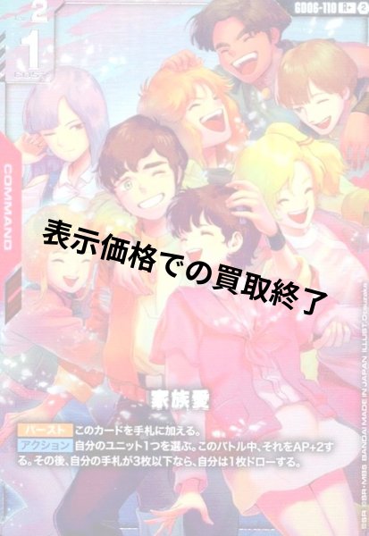 画像1: 家族愛(R+)(GD06-110) (1)