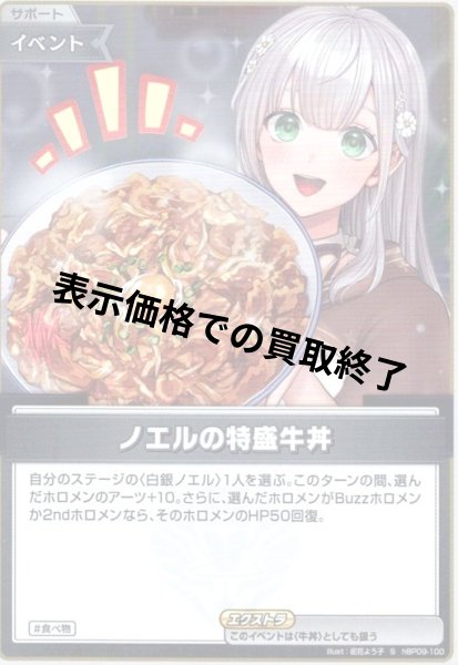 画像1: ノエルの特盛牛丼(S)(hBP09-100) (1)
