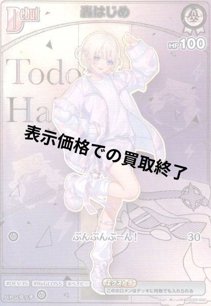 画像1: 轟はじめ(HR)(hSD05-002) (1)