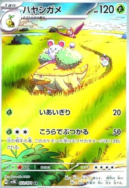 画像1: ハヤシガメ(072/071 AR) (1)