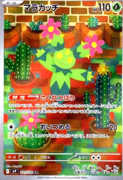 画像1: マラカッチ(101/100 AR) (1)