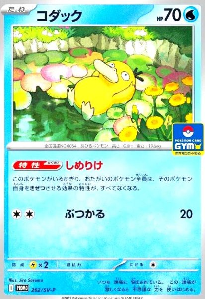 画像1: コダック(262/SV-P) (1)