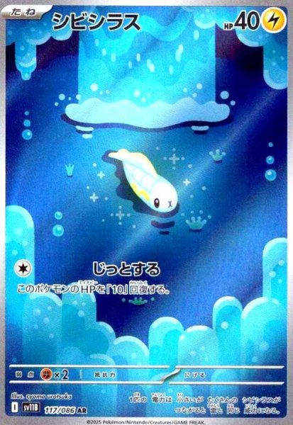 画像1: シビシラス(117/086 AR) (1)