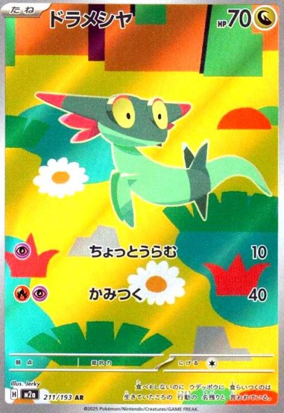 画像1: ドラメシヤ(AR)(211/193) (1)