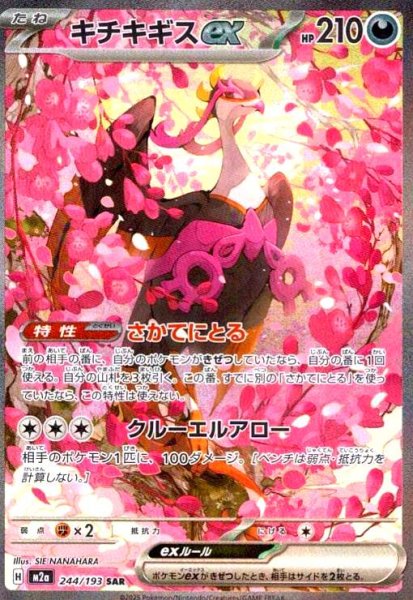 画像1: キチキギス(SAR)(244/193) (1)
