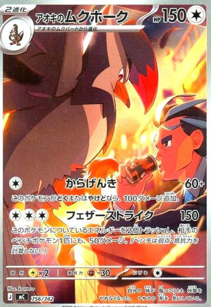 画像1: アオキのムクホーク(AR仕様)(756/742) (1)