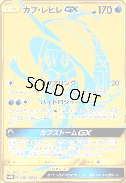 画像1: カプレヒレGX(245/150 UR) (1)
