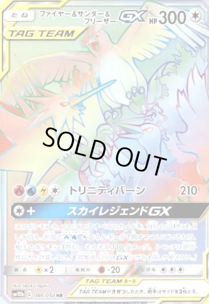 画像1: ファイヤー&サンダー&フリーザーGX(066/054 HR) (1)