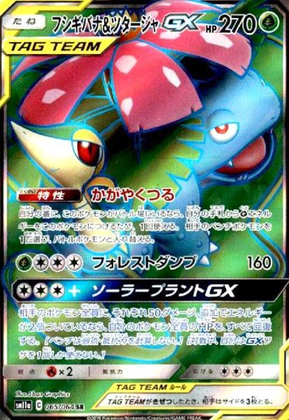 画像1: フシギバナ&ツタージャGX(065/064 SR) (1)