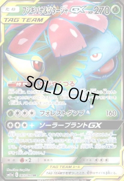 画像1: フシギバナ&ツタージャGX(065/064 SR) (1)