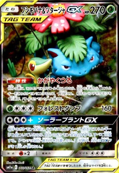 画像1: フシギバナ&ツタージャGX(066/064 SR)[SA] (1)