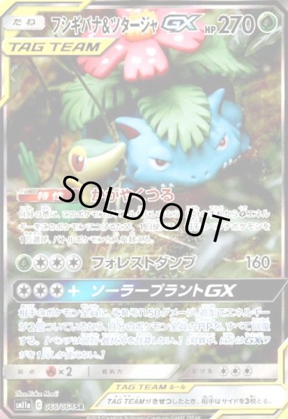 画像1: フシギバナ&ツタージャGX(066/064 SR)[SA] (1)