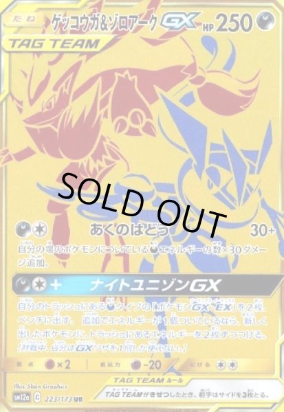 画像1: ゲッコウガ&ゾロアークGX(223/173 UR) (1)