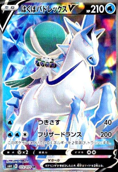 画像1: はくばバドレックスV(072/070 SR) (1)