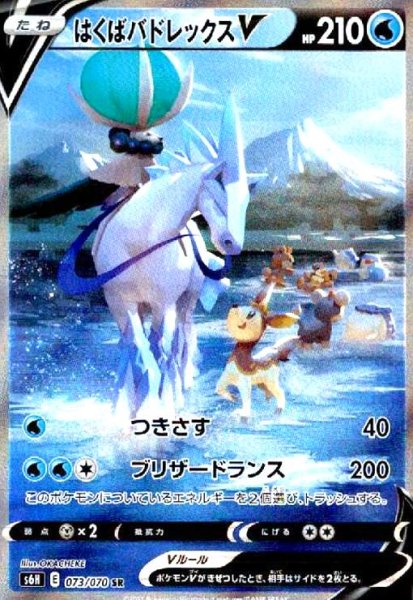 画像1: はくばバドレックスV(073/070 SR)[SA] (1)
