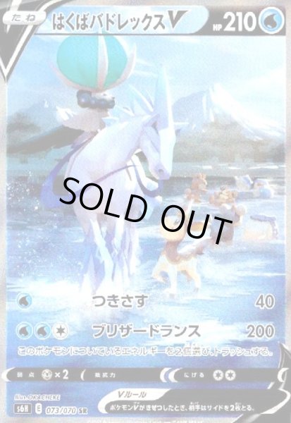 画像1: はくばバドレックスV(073/070 SR)[SA] (1)