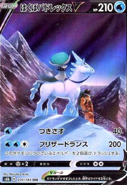 画像1: はくばバドレックスV(220/184 CSR) (1)