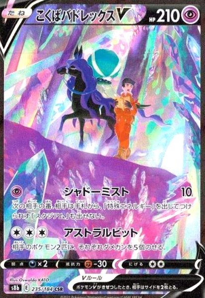 画像1: こくばバドレックスV(235/184 CSR) (1)