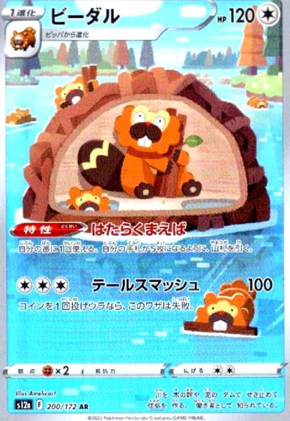 画像1: ビーダル(200/172 AR) (1)